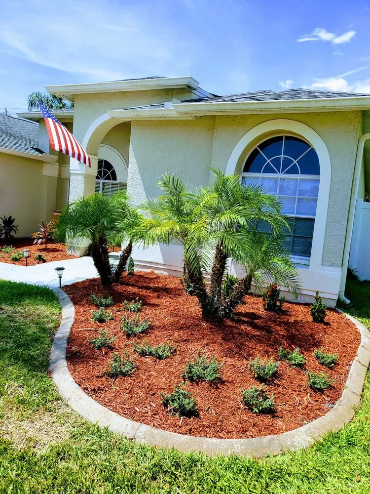 Top-rated yard cleanup service in Tampa, FL by Sunset Services