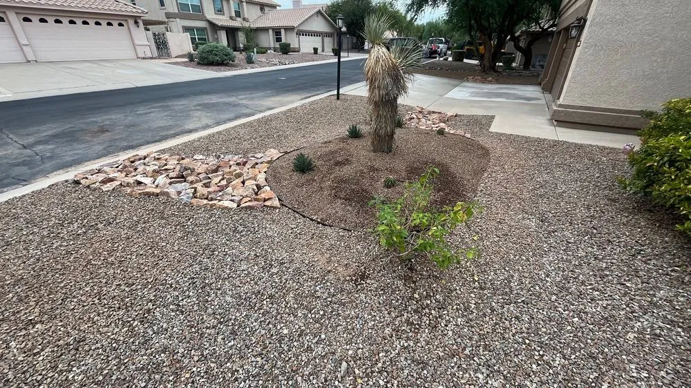 Professional garden landscaping in Tucson, AZ by Sunset Sky Landscape