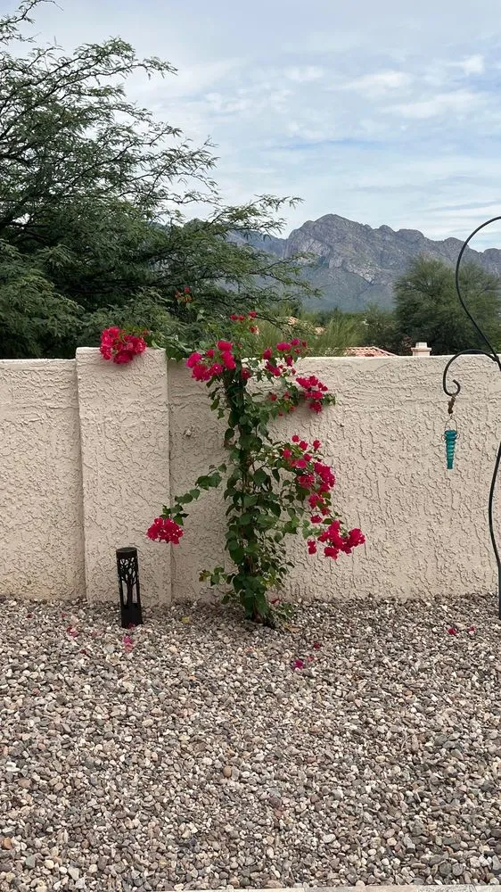 Expert garden landscaping in Tucson, AZ by Sunset Sky Landscape