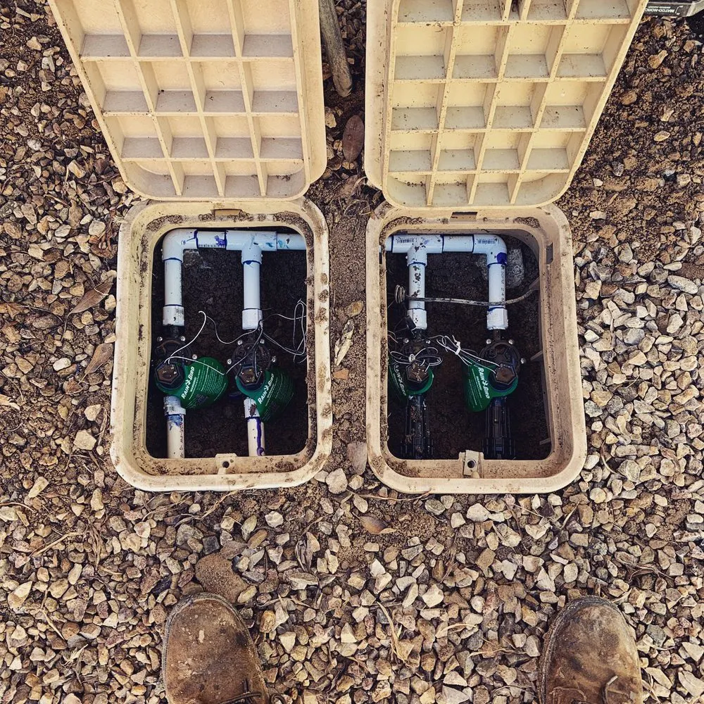 Expert yard maintenance in Tucson, AZ - Sunset Sky Landscape