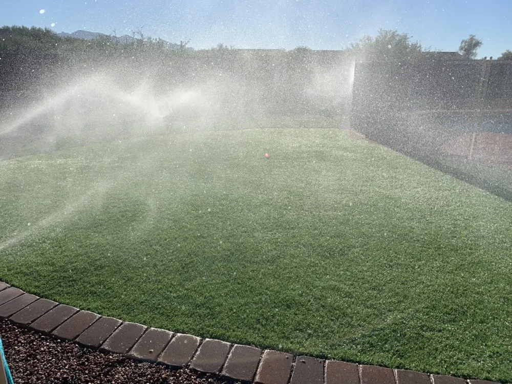 Custom yard maintenance in Tucson, AZ by Sunset Sky Landscape