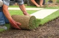 Local lawn care service for outdoor upgrades in Beavercreek, OH by Sunset Tree & Landscape