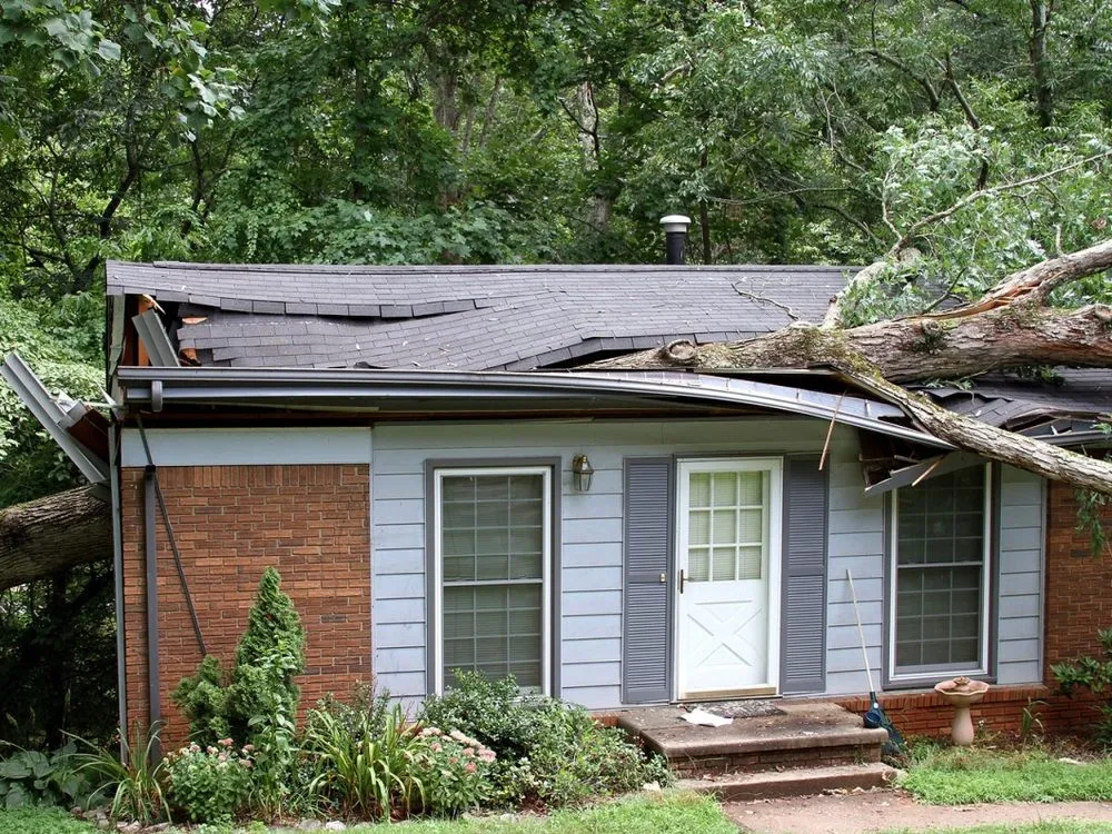 Affordable landscaping services in Beavercreek, OH - Sunset Tree Service