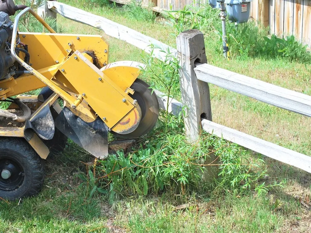 Reliable lawn care service for homes across Beavercreek, OH - Sunset Tree Service