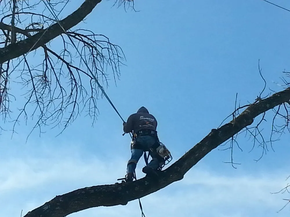 Local lawn mowing service for outdoor upgrades in Beavercreek, OH by Sunset Tree Service