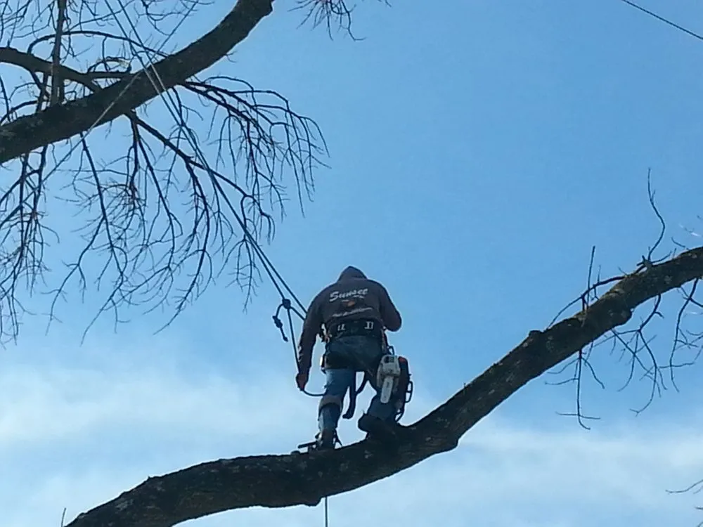 Professional garden landscaping in Beavercreek, OH by Sunset Tree Service