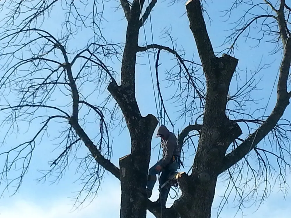 Trusted landscaping services near you across Beavercreek, OH - Sunset Tree Service