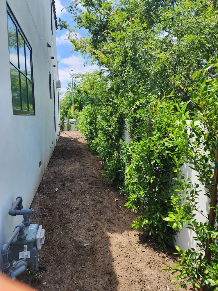 Affordable outdoor landscaping near you in Kagel Canyon, CA by Sunset Tree Works