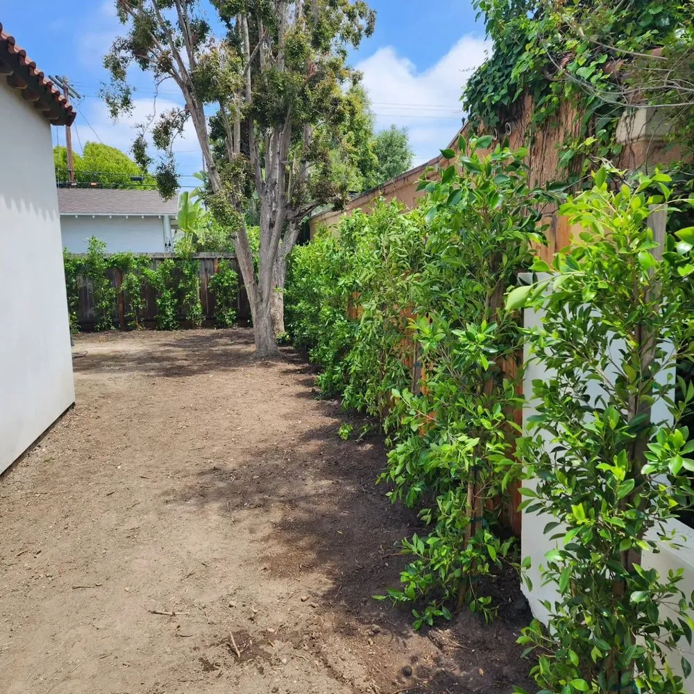 Professional outdoor landscaping experts serving Kagel Canyon, CA - Sunset Tree Works