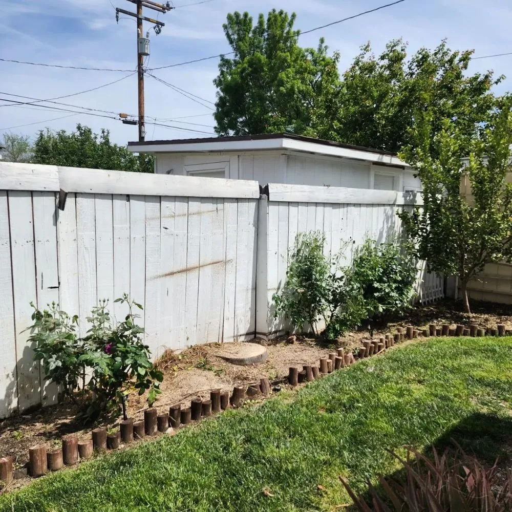 Affordable landscaping services for outdoor upgrades in Kagel Canyon, CA by Sunset Tree Works