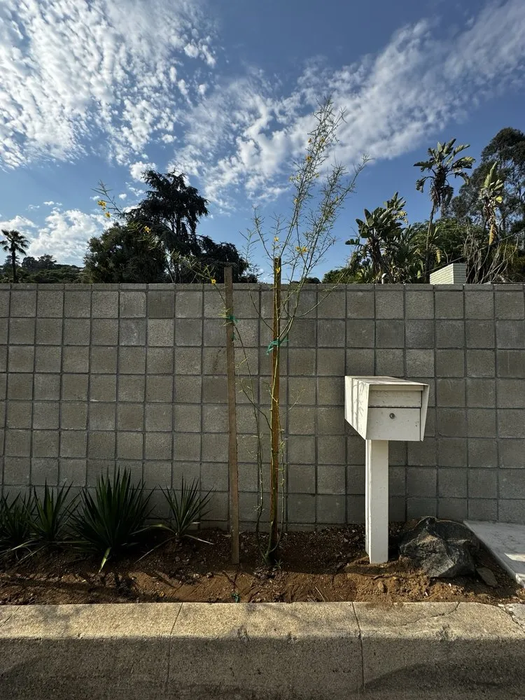 Top-rated garden landscaping in Kagel Canyon, CA - Sunset Tree Works