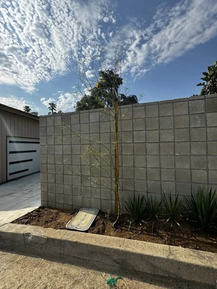 Reliable yard cleanup service in Kagel Canyon, CA by Sunset Tree Works