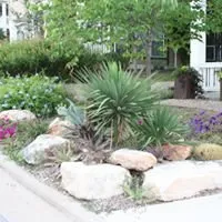 Custom lawn care service experts serving Sunset Valley, TX - Sunset Valley Landscape & Tree Service