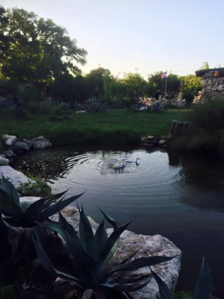Trusted yard maintenance experts serving Sunset Valley, TX - Sunset Valley Landscape & Tree Service