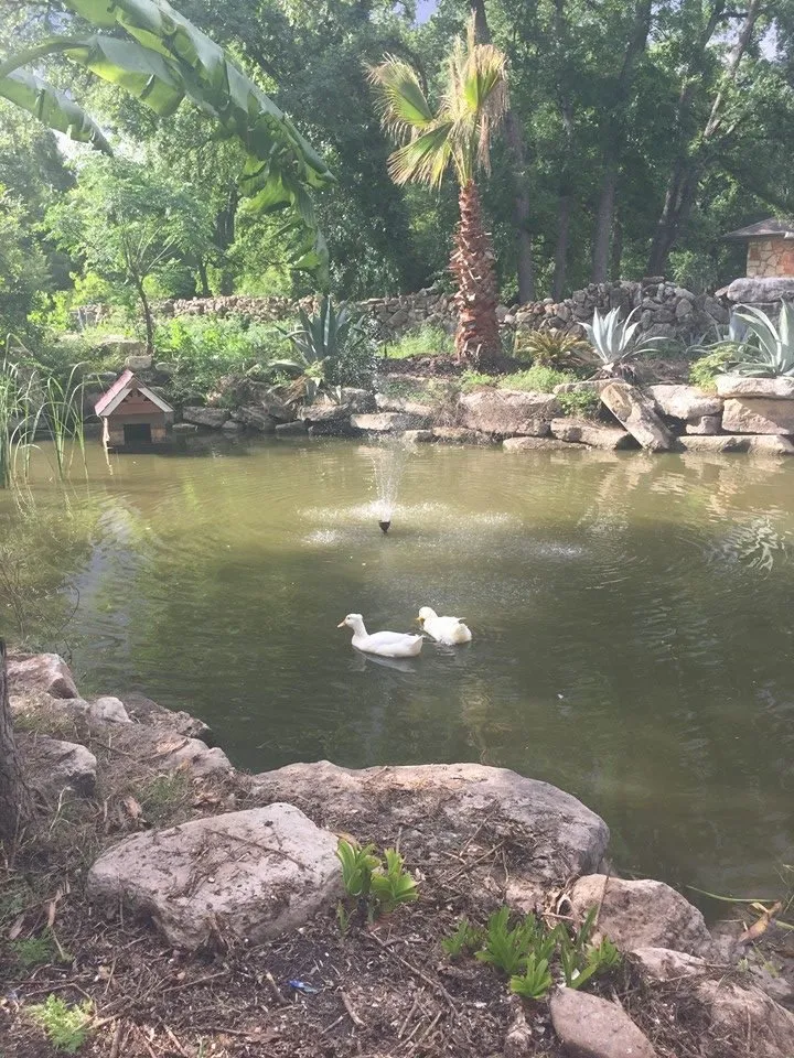 Expert lawn mowing service in Sunset Valley, TX - Sunset Valley Landscape & Tree Service