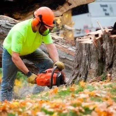 Professional landscape installation for residential properties across Sunset Valley, TX - Sunset Valley Landscape & Tree Service