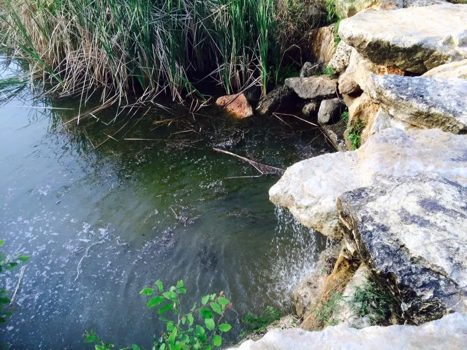 Expert residential landscaping in Sunset Valley, TX by Sunset Valley Landscape & Tree Service