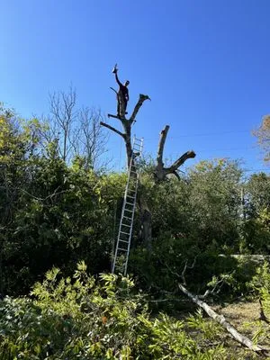 Sunset Valley Landscape & Tree Service