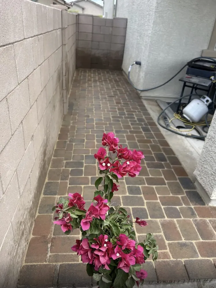 Top-rated landscape installation in Tucson, AZ by Sunset View Landscaping