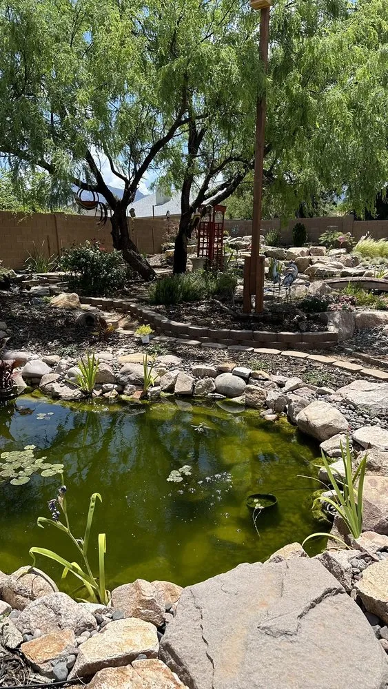 Professional yard cleanup service in Sierra Vista, AZ by Sunset Water Gardens