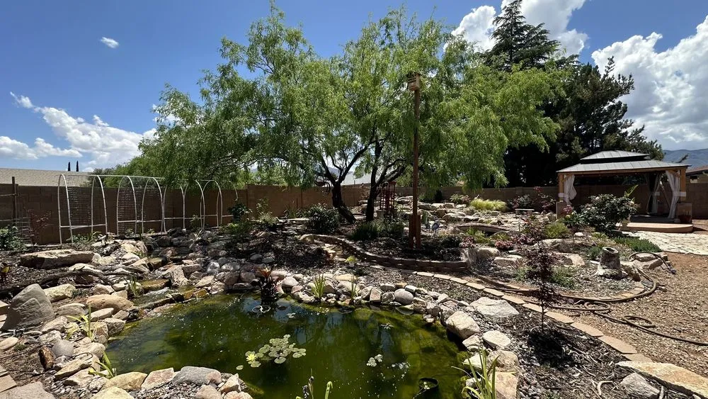 Top-rated lawn mowing service in Sierra Vista, AZ by Sunset Water Gardens