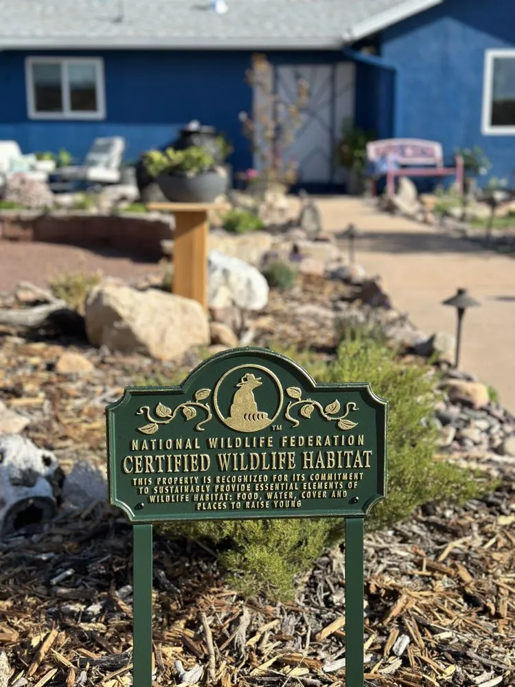 Custom yard maintenance for homes across Sierra Vista, AZ - Sunset Water Gardens