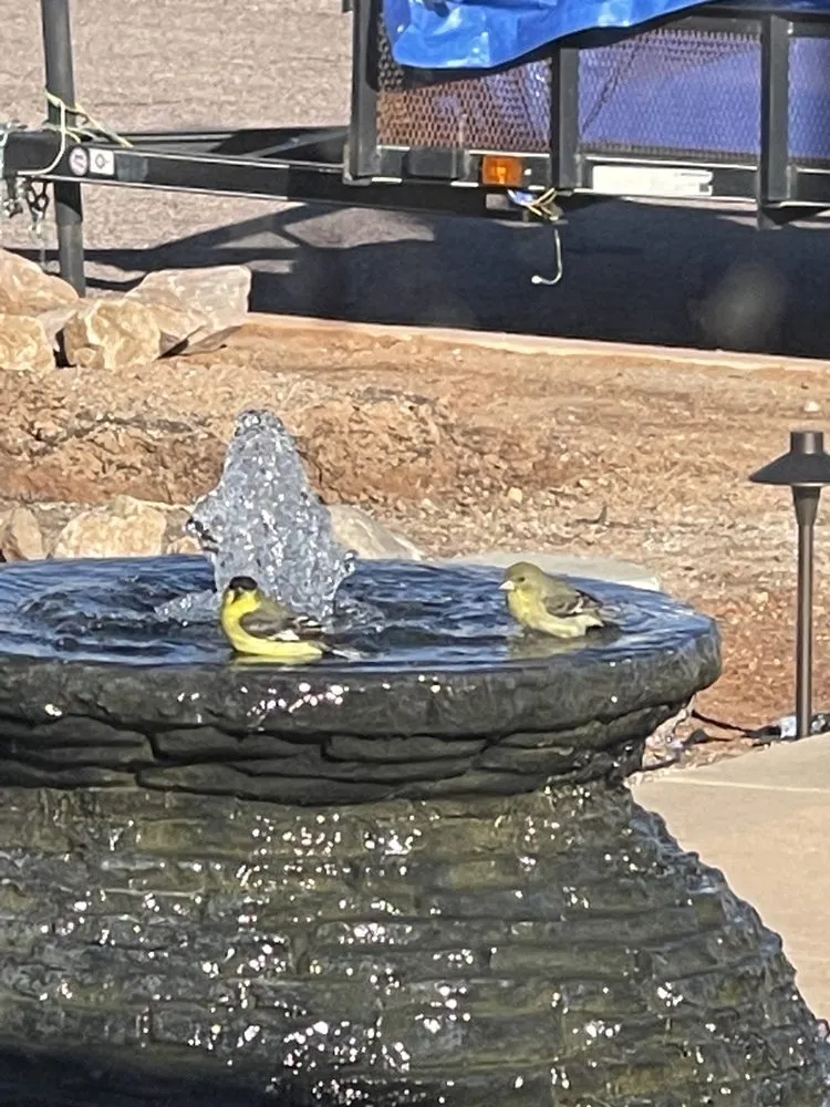 Trusted lawn care service in Sierra Vista, AZ by Sunset Water Gardens