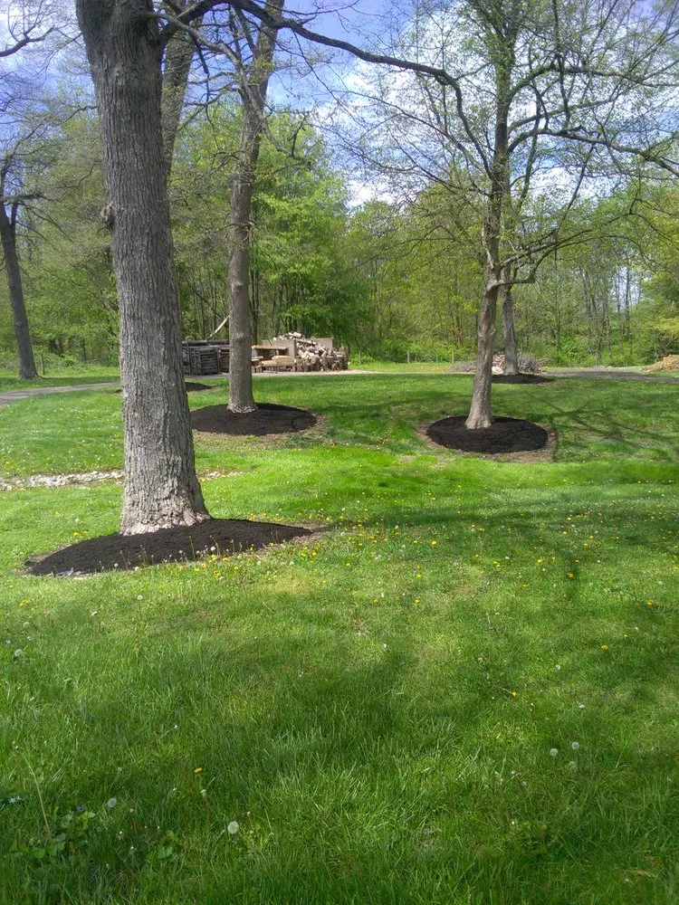 Reliable outdoor landscaping in Fredericksburg, OH by Sunset Yard Solutions