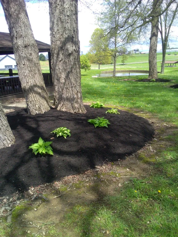 Expert lawn mowing service in Fredericksburg, OH - Sunset Yard Solutions