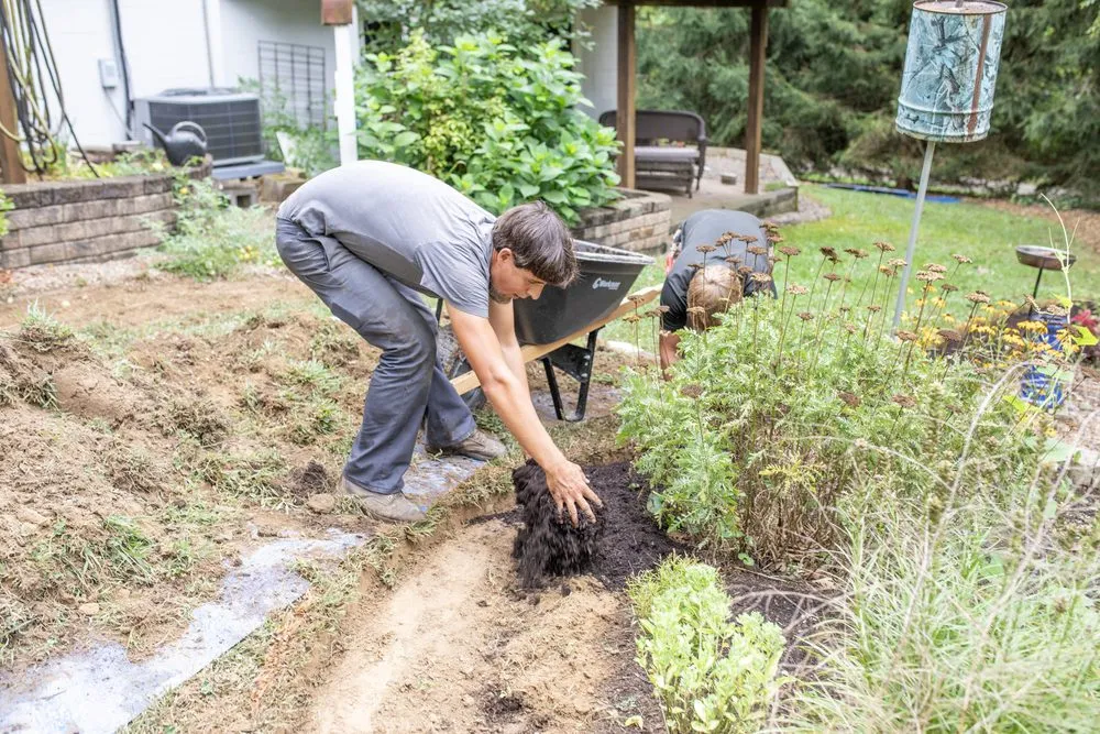 Expert lawn care service in Fredericksburg, OH - Sunset Yard Solutions
