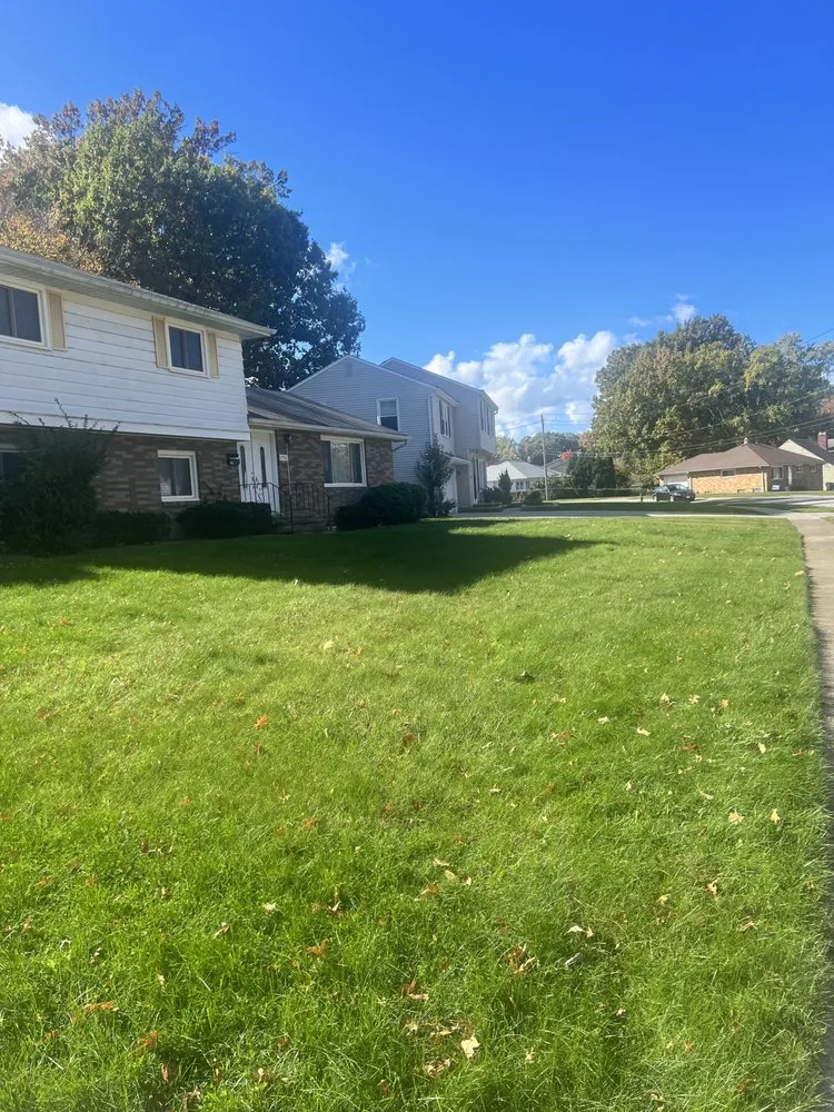 Professional outdoor landscaping in Maple Heights, OH by Sunshine & Co