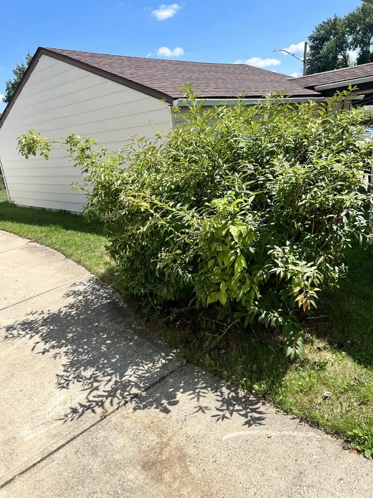 Affordable outdoor landscaping in Maple Heights, OH by Sunshine & Co