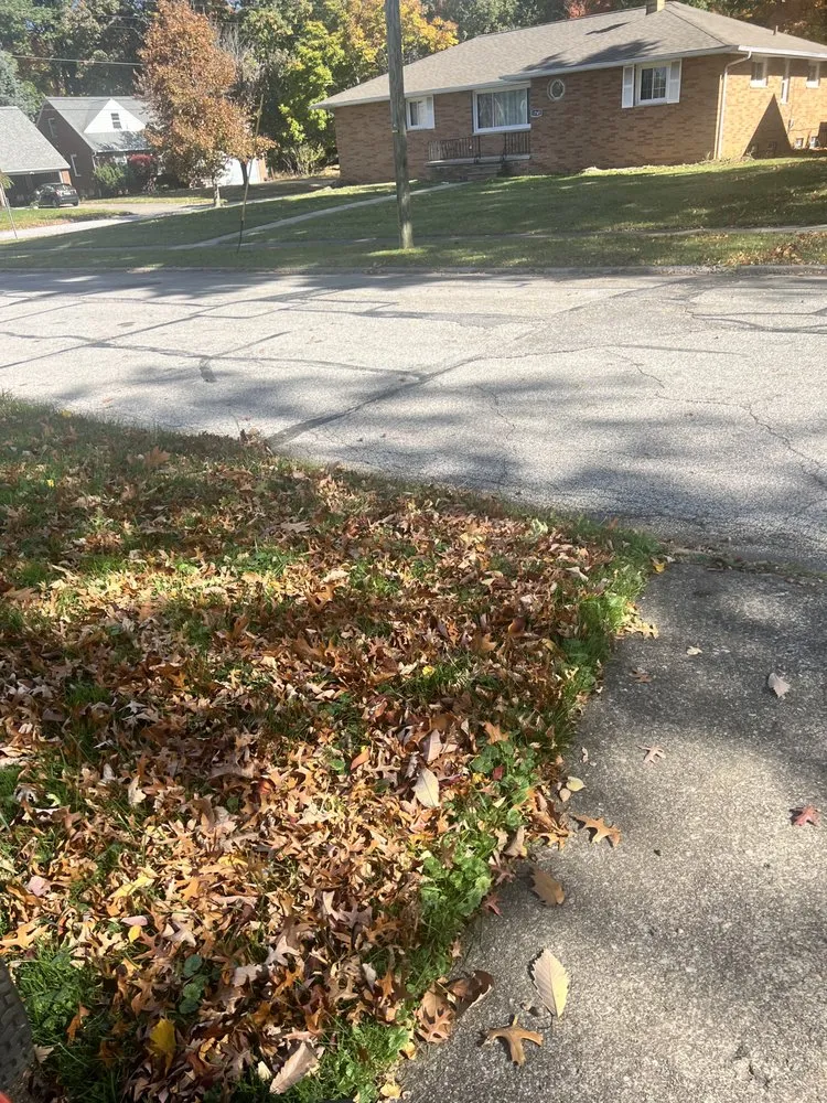 Affordable lawn care service experts serving Maple Heights, OH - Sunshine & Co