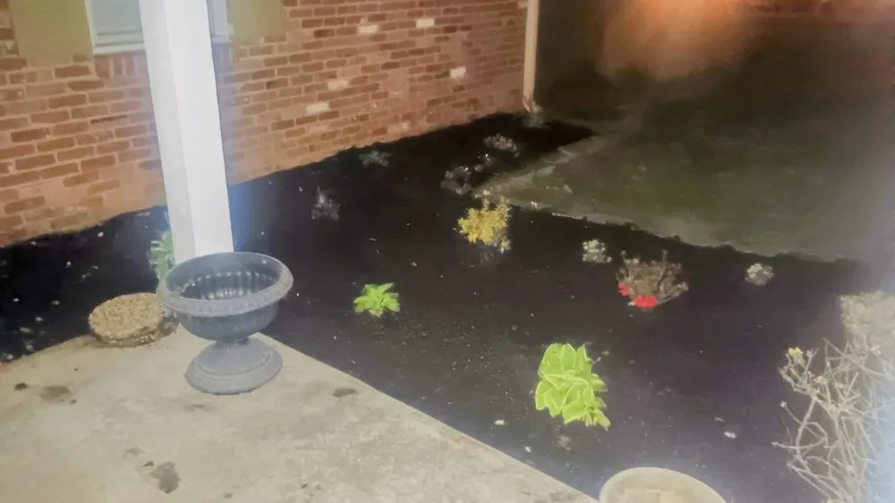 Affordable lawn care service in Mount Washington, KY - Sunshine Cleaning & Landscape