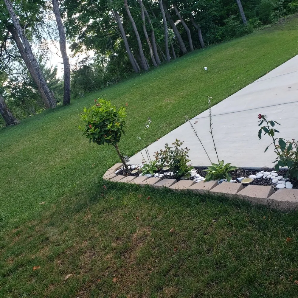 Expert yard cleanup service in Mount Washington, KY - Sunshine Cleaning & Landscape