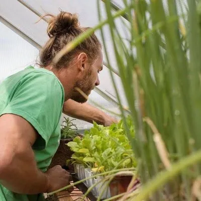 Sunshine Daydream Landscaping And Permaculture Logo