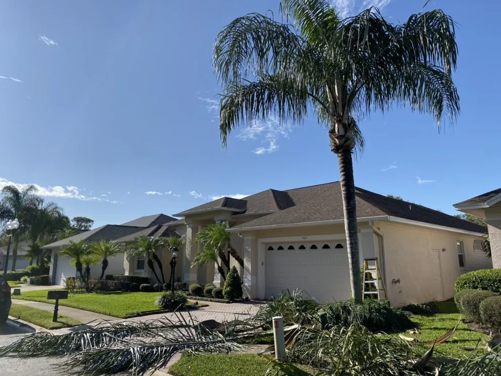 Professional residential landscaping for homes in Alafaya, FL by Sunshine Fields Ladscaping