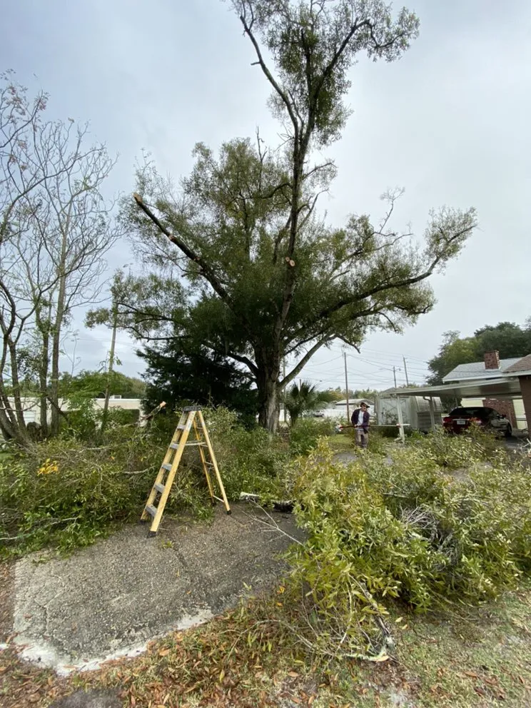 Local landscape installation in Alafaya, FL - Sunshine Fields Ladscaping