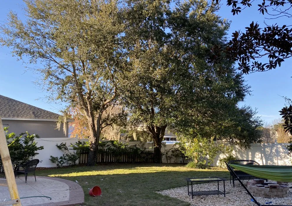 Professional yard cleanup service for beautiful yards across Alafaya, FL - Sunshine Fields Ladscaping