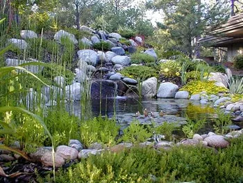 Expert yard cleanup service for homes across Anchorage, AK - Sunshine Garden Services & Landscaping