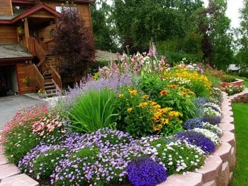 Top-rated landscape design in Anchorage, AK - Sunshine Garden Services & Landscaping