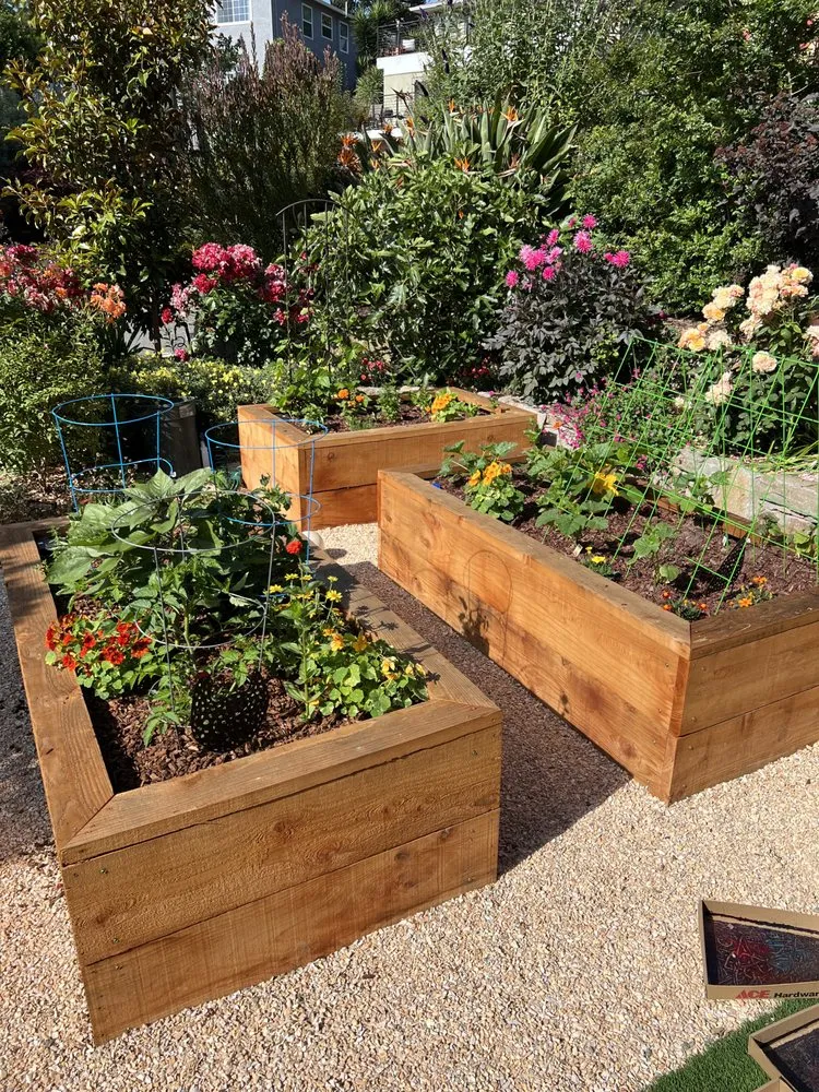 Top-rated landscape installation in Oakland, CA - Sunshine Gardens Landscaping