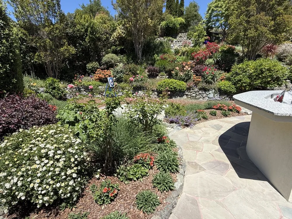 Affordable yard cleanup service in Oakland, CA - Sunshine Gardens Landscaping