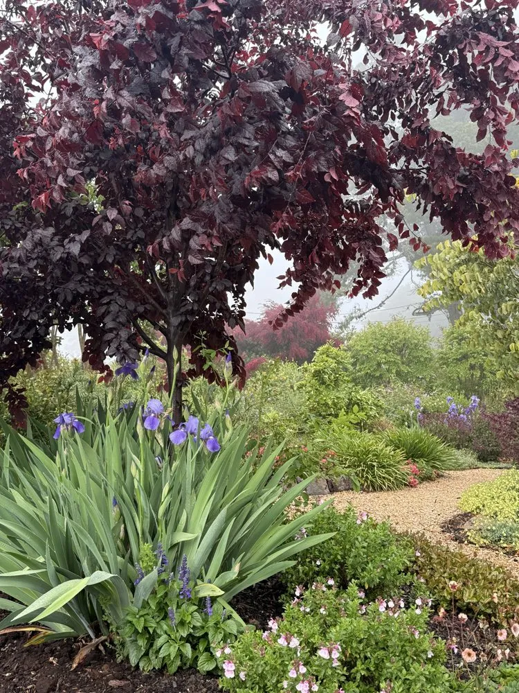 Reliable yard cleanup service experts serving Oakland, CA - Sunshine Gardens Landscaping