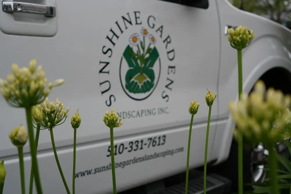 Expert outdoor landscaping near you in Oakland, CA by Sunshine Gardens Landscaping