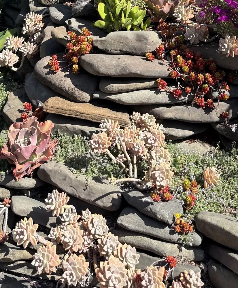 Professional garden landscaping in Oakland, CA - Sunshine Gardens Landscaping