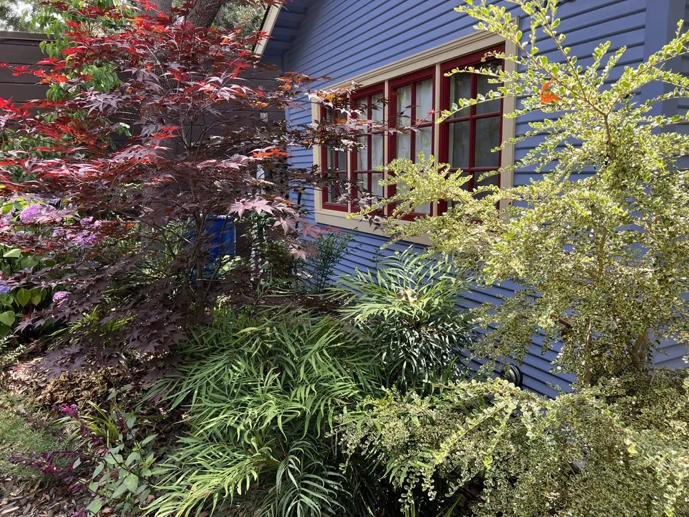 Top-rated lawn mowing service in Oakland, CA by Sunshine Gardens Landscaping