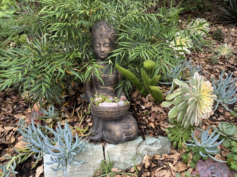 Local yard maintenance in Oakland, CA - Sunshine Gardens Landscaping