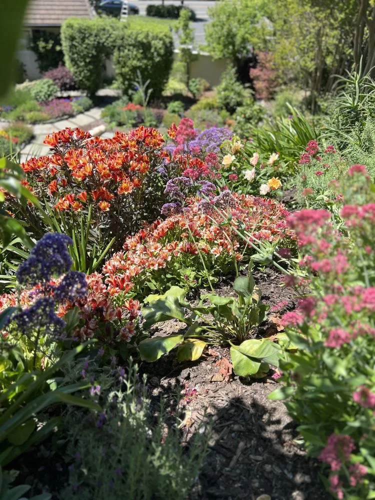 Reliable lawn mowing service for residential properties across Oakland, CA - Sunshine Gardens Landscaping