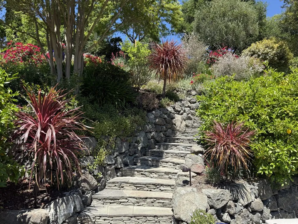 Custom yard maintenance for homes across Oakland, CA - Sunshine Gardens Landscaping